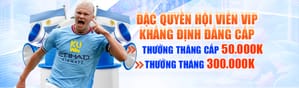 Đại lý ủy quyền
